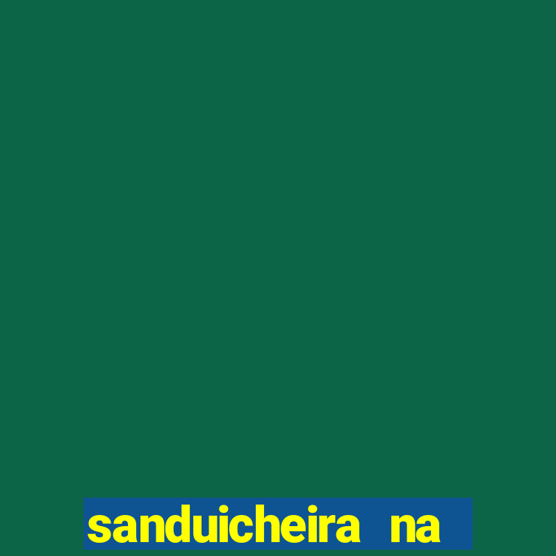 sanduicheira na casas bahia