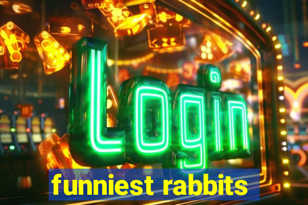 funniest rabbits