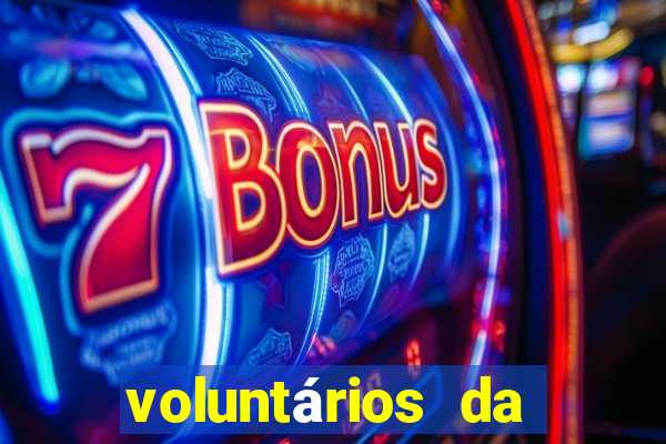 voluntários da pátria 344