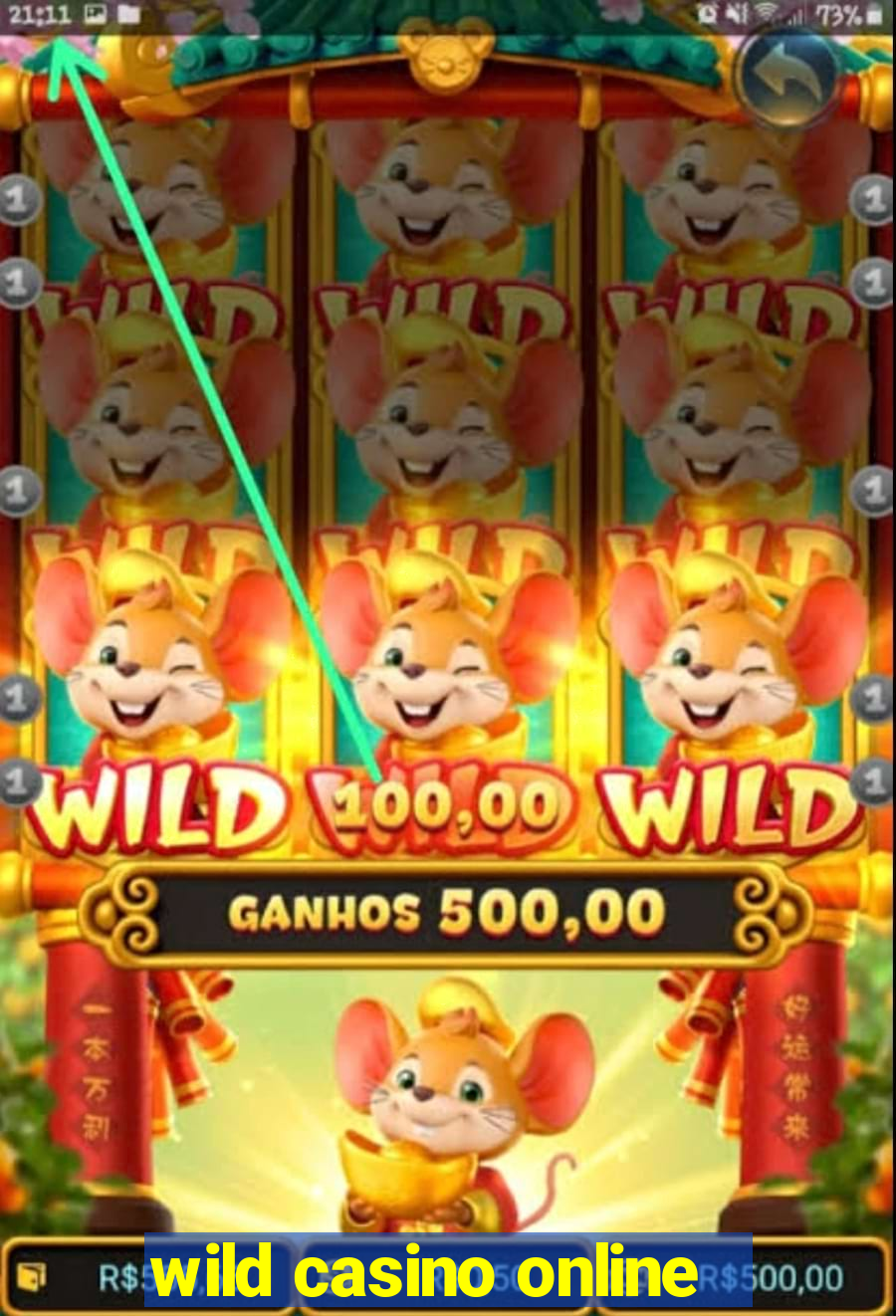 wild casino online