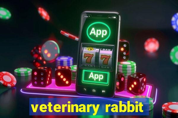 veterinary rabbit