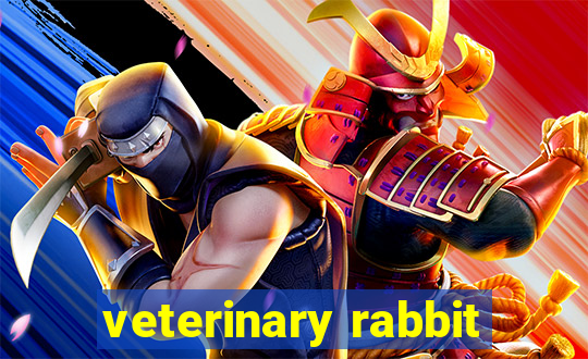 veterinary rabbit