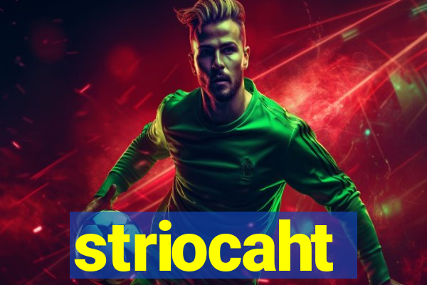 striocaht