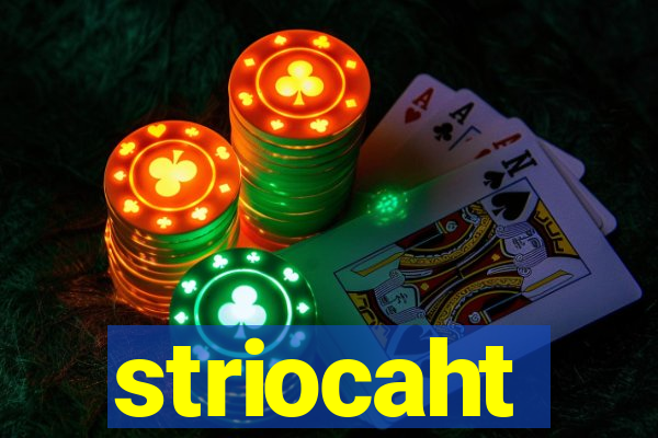 striocaht