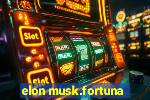 elon musk.fortuna