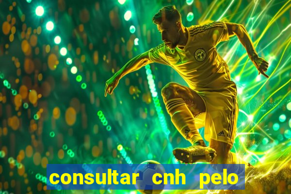 consultar cnh pelo cpf sp