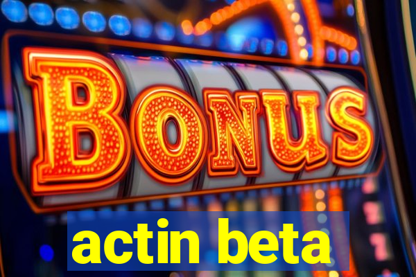 actin beta