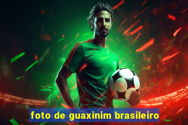 foto de guaxinim brasileiro