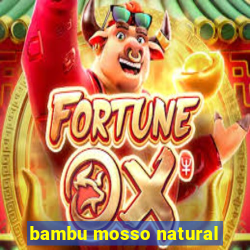 bambu mosso natural