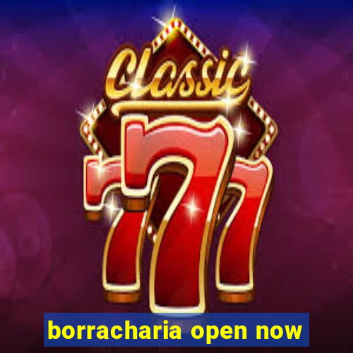 borracharia open now