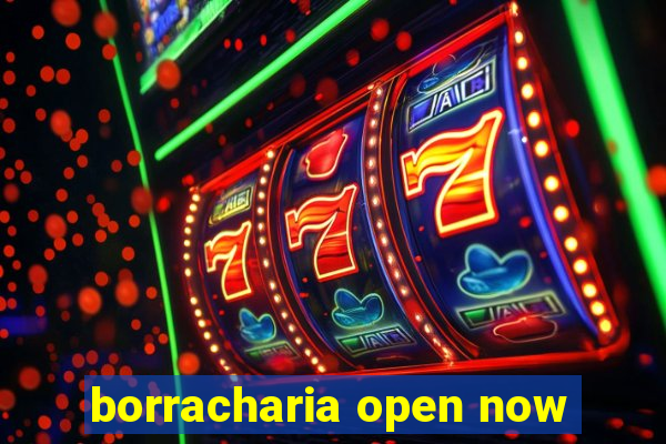 borracharia open now