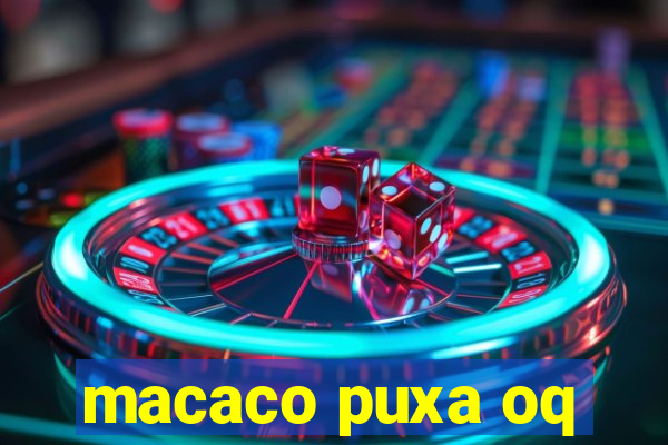 macaco puxa oq