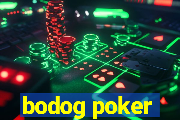 bodog poker