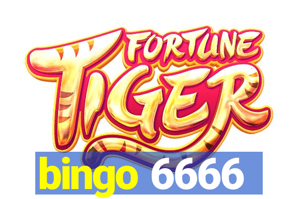 bingo 6666