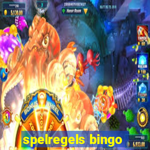 spelregels bingo