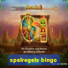 spelregels bingo