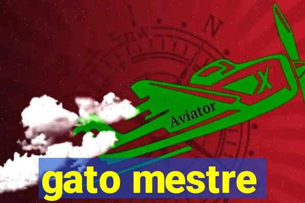 gato mestre