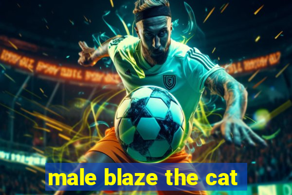 male blaze the cat