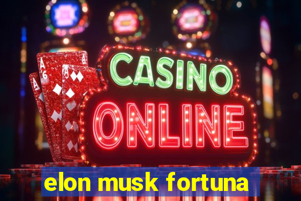 elon musk fortuna