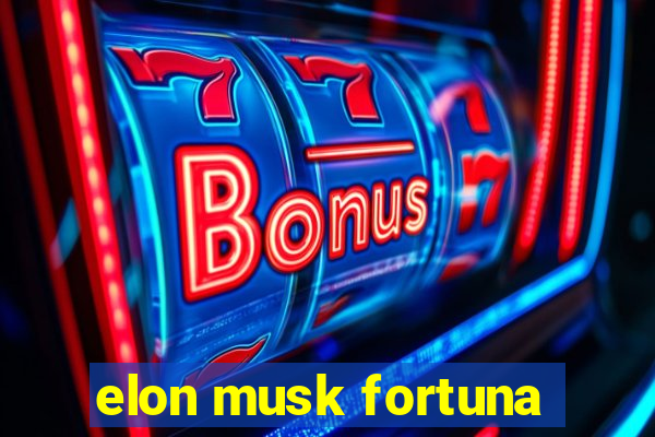 elon musk fortuna