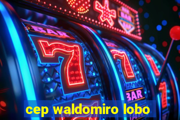 cep waldomiro lobo