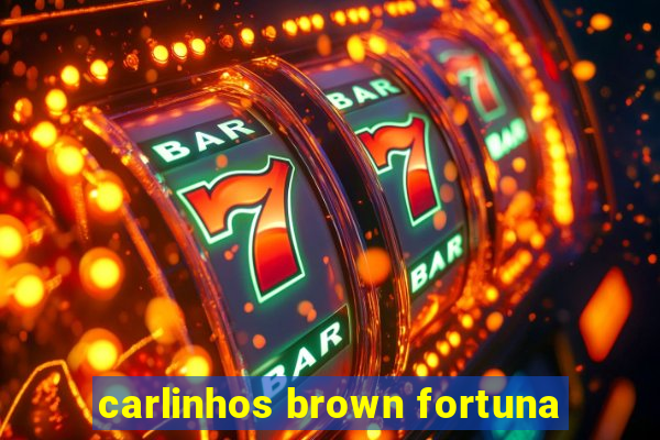 carlinhos brown fortuna