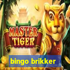 bingo brikker