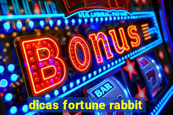 dicas fortune rabbit