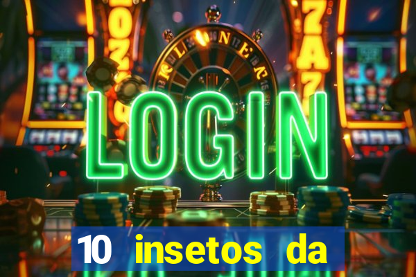 10 insetos da região sudeste