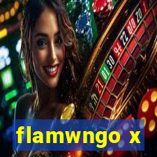 flamwngo x