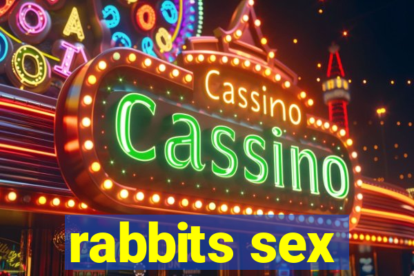 rabbits sex