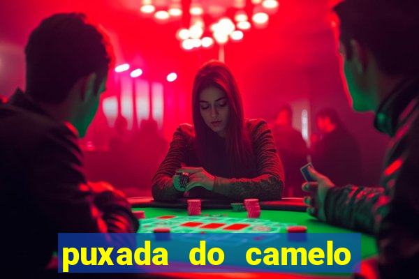 puxada do camelo no jogo do bicho