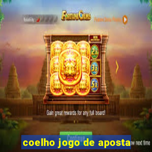 coelho jogo de aposta