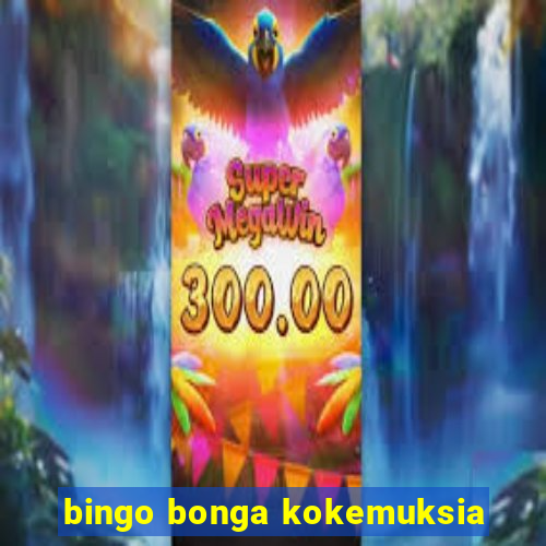 bingo bonga kokemuksia