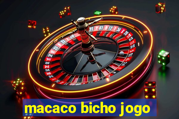 macaco bicho jogo