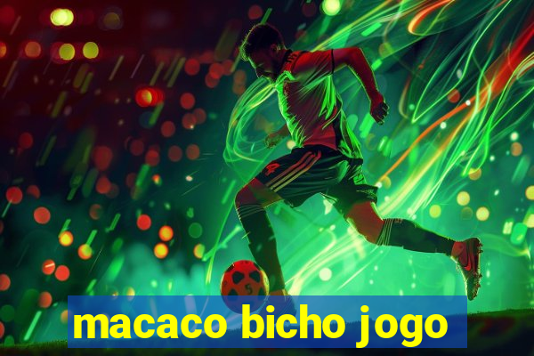 macaco bicho jogo