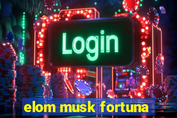 elom musk fortuna