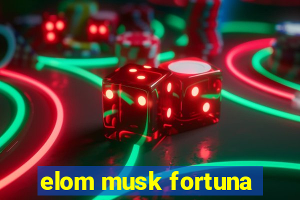 elom musk fortuna