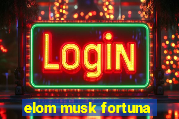 elom musk fortuna