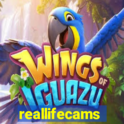 reallifecams