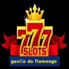 gavi茫o do flamengo