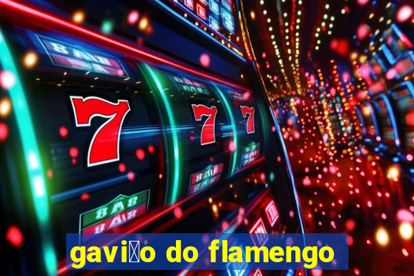 gavi茫o do flamengo