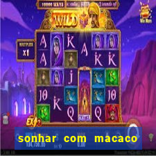 sonhar com macaco o que significa