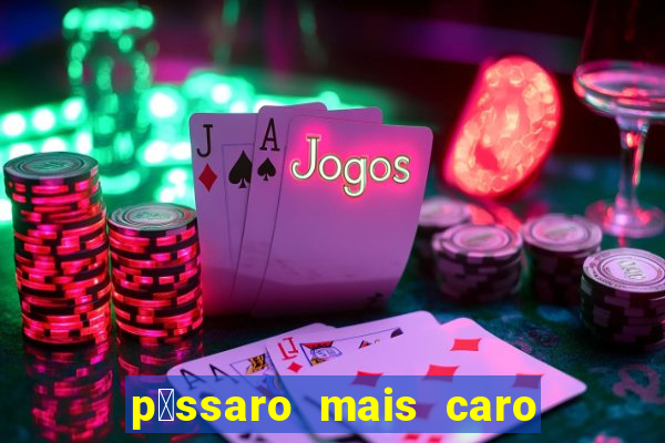 p谩ssaro mais caro do mundo