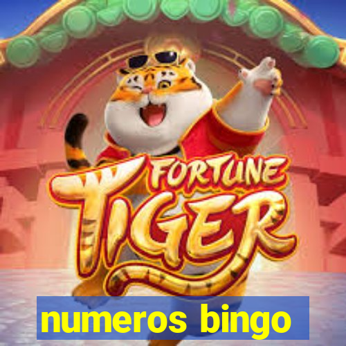 numeros bingo