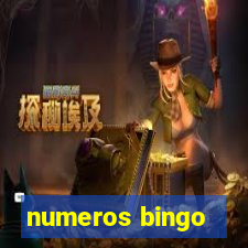 numeros bingo