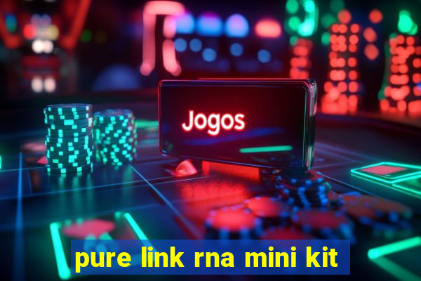 pure link rna mini kit