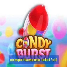 comportamento lotof谩cil