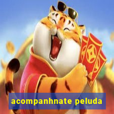 acompanhnate peluda