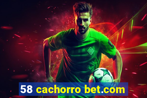 58 cachorro bet.com